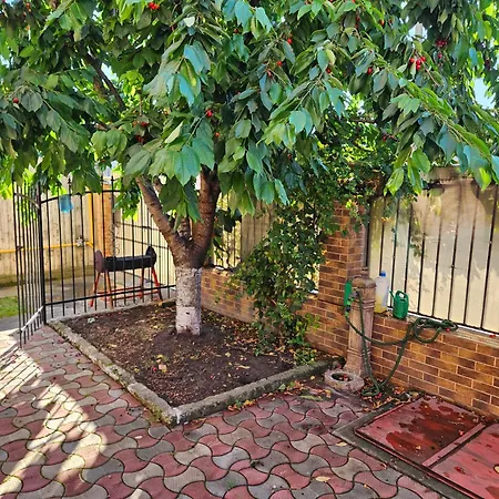 La Mare Casa Realis Сasa de vacaciones *